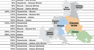 City Bus Numbering Guide