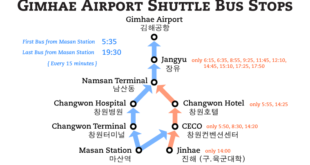 Buses to the Airports (Busan and Incheon)