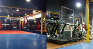 Foreigner-Friendly Martial Arts Gyms in Changwon